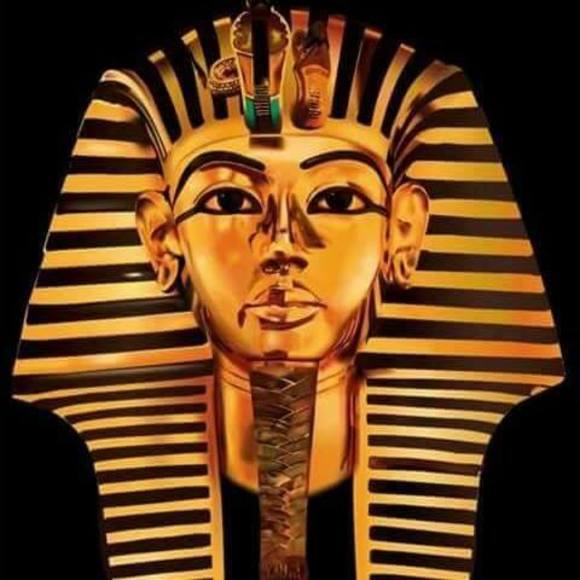 Meet your Posher, David - Picture 1 of 1